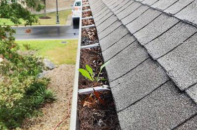 Before gutter cleaning